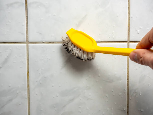 Best Residential Mold Remediation in White Oak, MD