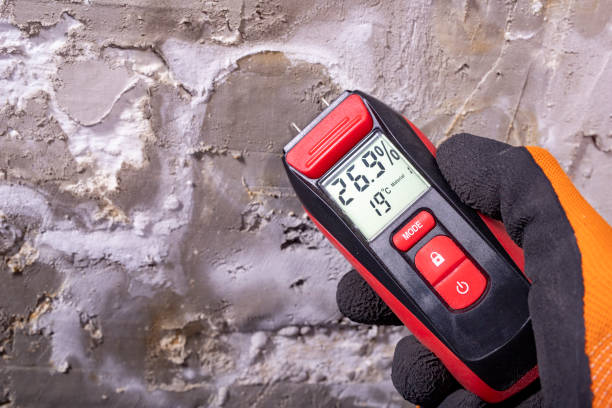 Best DIY Mold Remediation Support Services in White Oak, MD