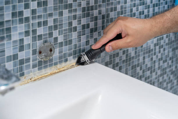 Best Industrial Mold Remediation in White Oak, MD